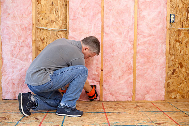 Professional Insulation Contractor in Richland, GA